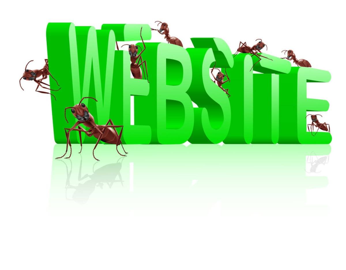 <b>深圳谷歌CPS优化师客服的耐心与专业</b>