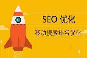 <b>深圳BingCPC专家客服：耐心铸就高效服务</b>