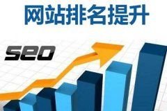 <b>深圳快手外链工程师哪家强？揭秘行业佼佼者</b>